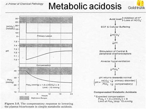 Medicine Newbie Sgd Compensation In Metabolic Acidosis