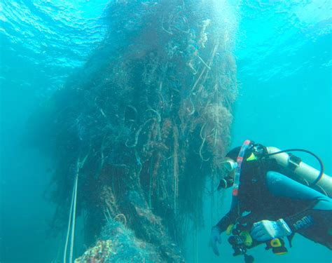 Derelict Fishing Nets And The Pacific Islands Orandrs