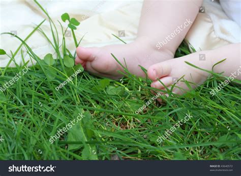 Baby Feet Stock Photo 43640572 Shutterstock