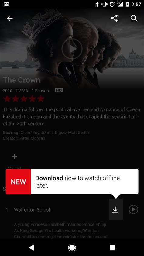 Take note of each step so you can enjoy your downloaded movies/tv series to their fullest. Netflix Offline Streaming For Android, iOS: How To ...