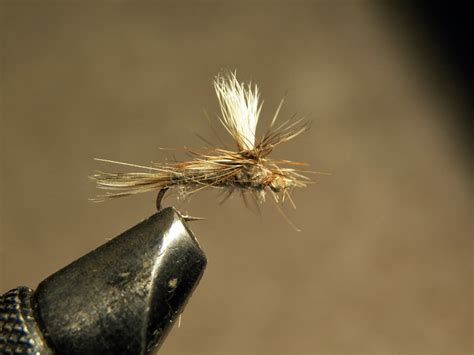 Knowing exactly what fly fishing flies for trout to use often comes with years of experience but. Connecticut Fly Angler: Small Stream Trout Flies: Dry Flies