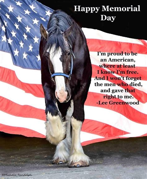 Memorial Day Horse Memorial Day Saratoga Stalls Memorial Day Is