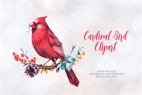 Watercolor Christmas Clip Art Cardinal Bird Clip Art Red Etsy