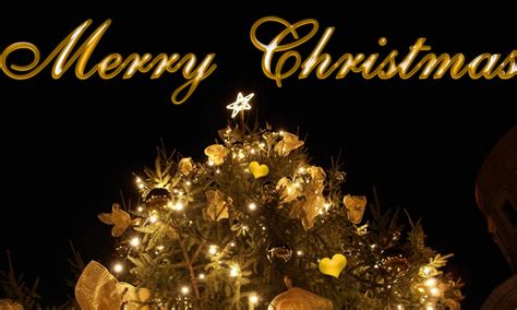 Christmas brings every heart together. Muslims and Merry Christmas Wishes