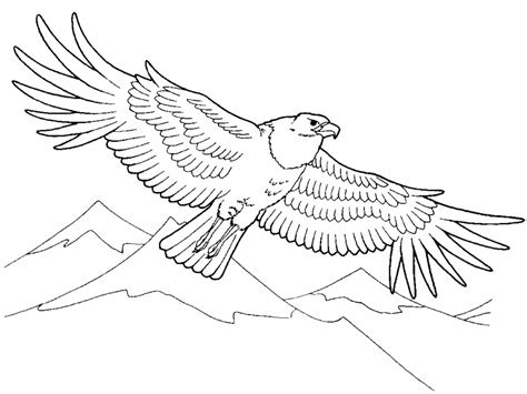 The golden girls is based on the lives and interactions of four older women who have all been divorced/widowed, and are now roommates. Golden eagle coloring pages to download and print for free