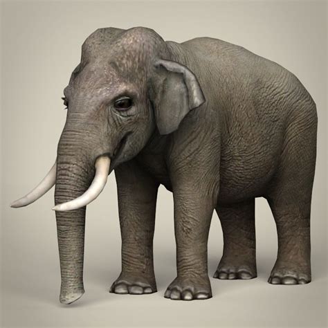 3d Asset Low Poly Realistic Elephant Cgtrader