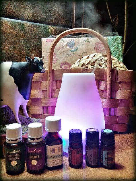 Is diffusing oils safe for dogs? A Slice of Texas blog : URPOWER ESSENTIAL OIL DIFFUSER ...