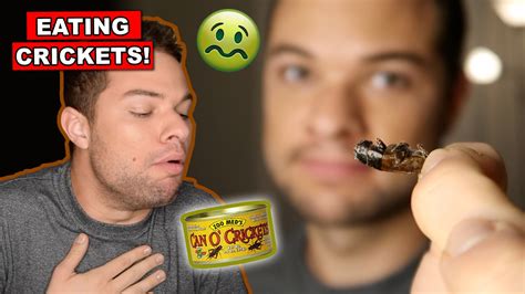 Cricket Eating Challenge Insect Taste Test Youtube