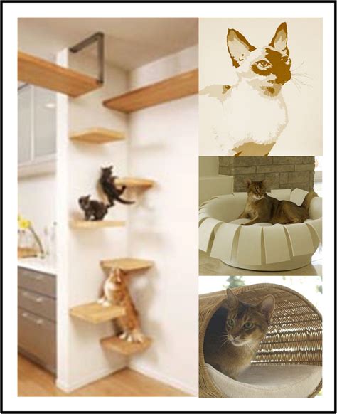 cat climbers for walls