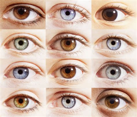 If You Have Blue Eyes Theyre Actually Brown Eye Color Chart Shades