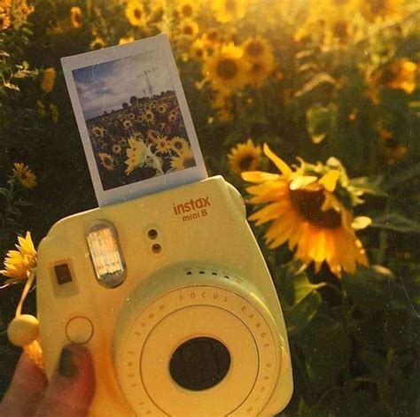 Pin By Liv And Shay On Polaroid Cameras Yellow Aesthetic Aesthetic