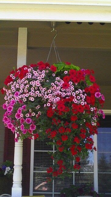 √ 37 Great Hanging Flower Basket Ideas That You Can Use Today With Images Hanging Flower