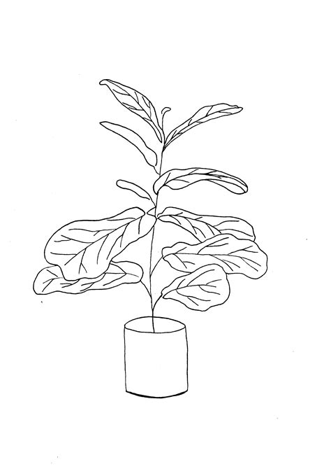 Line Art Drawing Plant In 2021 Easy Flower Drawings Plant Drawing