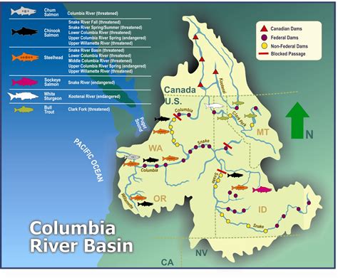 Columbia Basin Esa Map