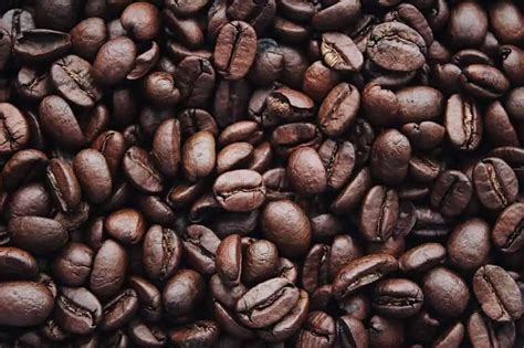 Can You Eat Roasted Coffee Beans The Pros And Cons Craft Coffee Guru
