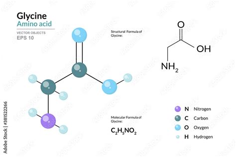 Glycine Gly C2h5no2 α Amino Acid Structural Chemical Formula And Molecule 3d Model Atoms