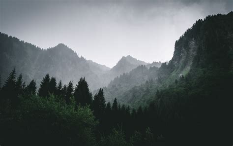 Download Wallpaper 3840x2400 Mountains Forest Fog Landscape 4k Ultra
