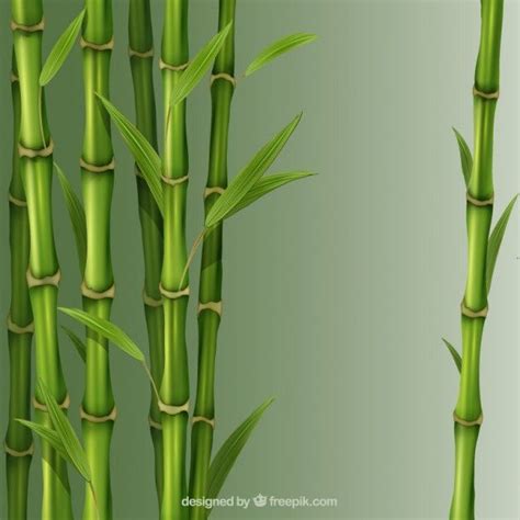 Bamboo Reeds | Bamboo art painting, Bamboo art, Bamboo ...