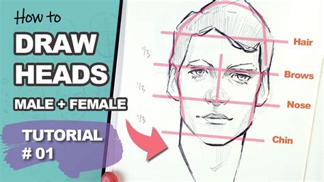 How To Draw A Male Head Step By Step Art Klutz