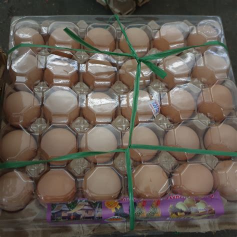 Omega Egg 30 Eggs Per Tray Nutri Best