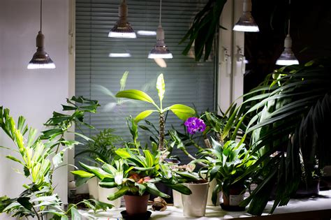 Lower energy consumption is not only. Let it be light! Led grow lights: LED and CFL lamps for ...