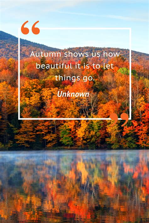 55 fall quotes to remind you just how beautiful this season is fall season quotes autumn
