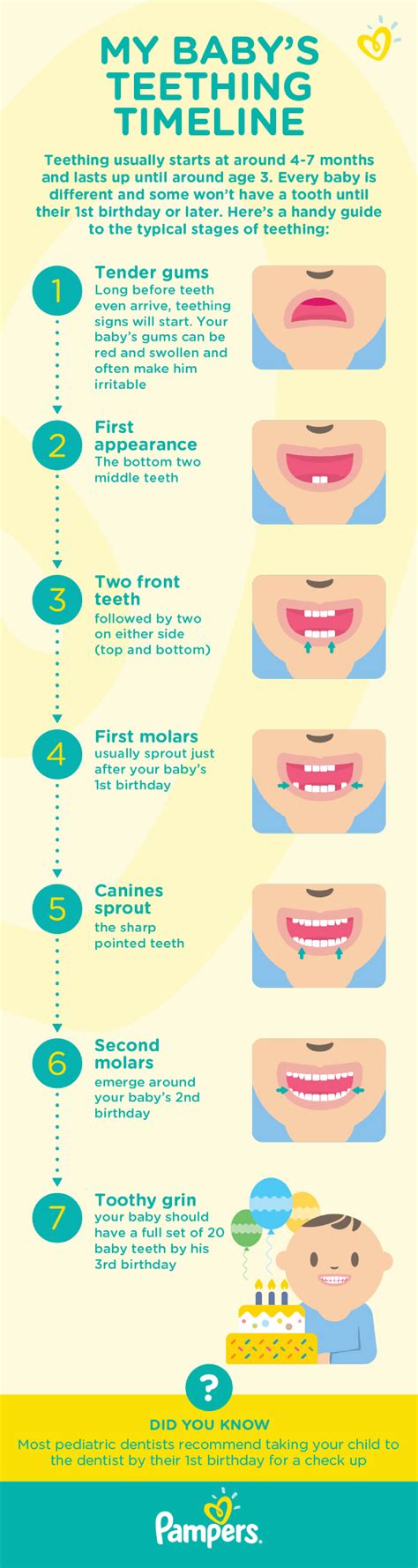 When Do Babies Start Teething Signs And Symptoms Pampers Baby