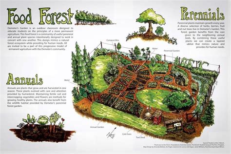 Food Forest Garden Permaculture Gardening Permaculture