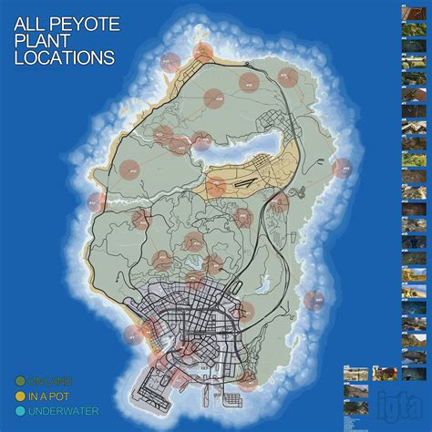 Gta Peyote Plants Locations Guide Gta Cheats