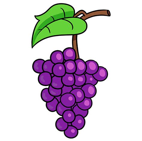 How To Draw Grapes Step 10 Grape Drawing Plant Drawing Grape