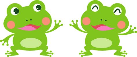 Frogs Animal Clipart Free Download Transparent Png Creazilla