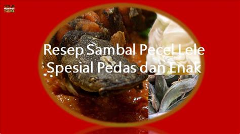 Resep lele cabai hijau pedas lele adalah salah satu jenis ikan yang banyak digunakan sebagai lauk di warung penyetan yang ada cara memasak lele cabai ijo pedas lezat : Resep Sambal Pecel Lele Spesial Pedas dan Enak - YouTube