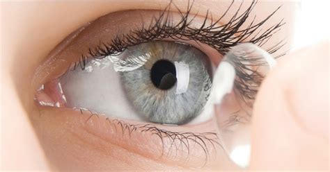 Cara pakaı contact lens palıng senang, kecek kelate weıı. Pemakaian contact lense dan cara penjagaan | Sarah Shaffee