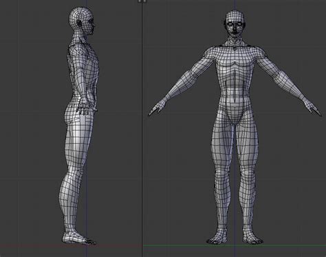 male 3d modeling reference sheet erofound