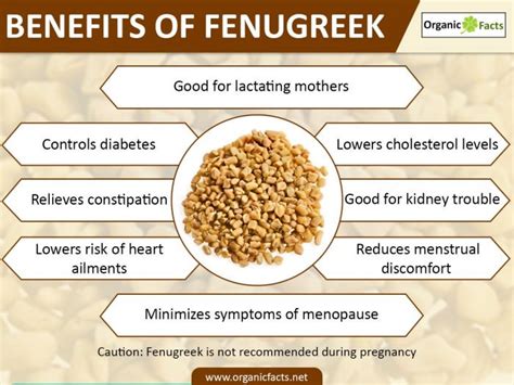 Welcome To Health Health Benefits Of Fenugreek