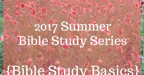 Imperfectly Wonderful World Summer Bible Study Series Bible Study Basics