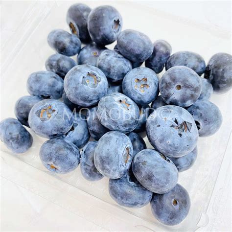 Jumbo Fresh Corindi Blueberry 125g — Momobud