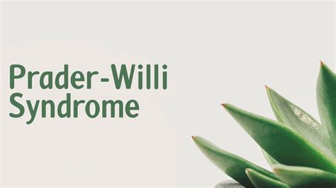 Prader Willi Syndrome Symptoms Causes Treatment Diagnosis