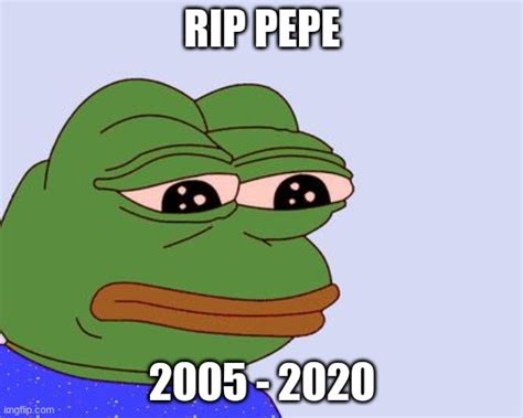 Pepe Is In Heaven Imgflip