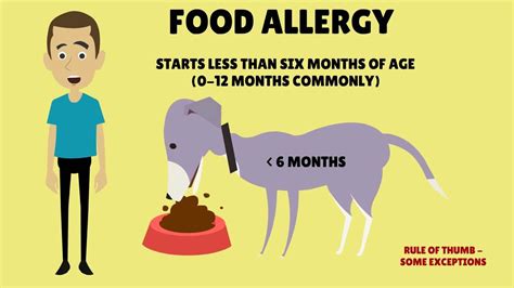 As an example, for a dog or a cat, this may be a food item that is normally an ingredient in their food that they consume on a daily basis. Symptoms of food allergy in dogs - YouTube
