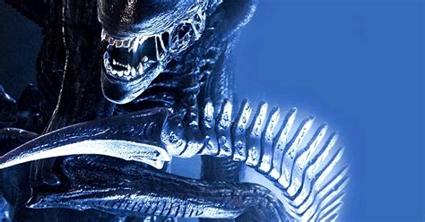 I figured, let's make them fight and see who wins! Alien vs. Predator: Evolution - obcy i Predator na ...