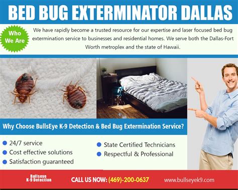 Pin On Bed Bug Exterminator Dallas Texas