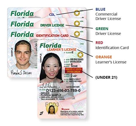 State Of Floridas New Driver License And Id Card
