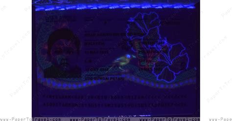 The ultraviolet index (uvi) range and its adverse effects (who, 2002). « UV Light Datapage » Malaysia : International Passport ...
