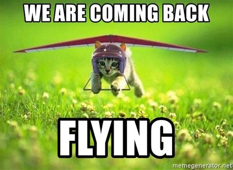 We Are Coming Back Flying Flying Cat Meme Generator