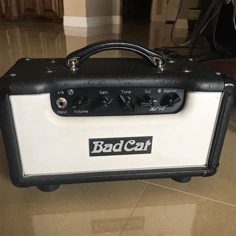 Check out the tone cat. Bad Cat Lil 15 15-Watt Guitar Amp Head | Reverb