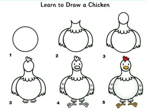 How To Draw Chicken Step By Step Learn How To Draw A Chicken With