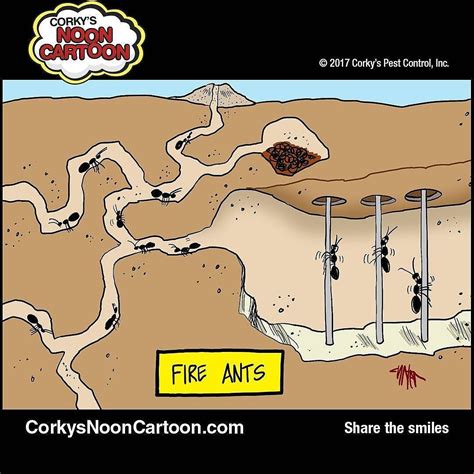 Corkys Noon Cartoon By Jon Carter Corkys Can Rescue You From Fire Ants