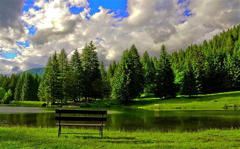 Relaxing Spot Grass Benches Trees Sky Lake Hd Wallpaper Peakpx