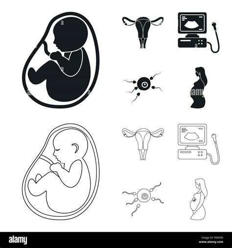 Útero Aparatos De Ultrasonido La Fertilización Embarazo La